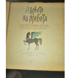 Дървото на живота