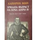 Зрялата възраст на крал Анри 4