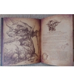 Diablo III: Book of Cain (Paperback)