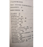 Времето на майсторите - Петър Константинов