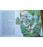  Мъдрият съветник от джоба