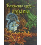 Божието чудо - гората - Ребека Нюсвангер